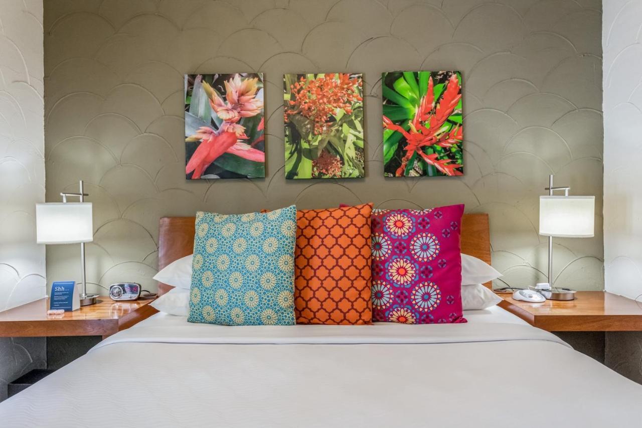เอล ปาเซโอ โฮเต็ล Hotel ไมอามีบีช ภายนอก รูปภาพ