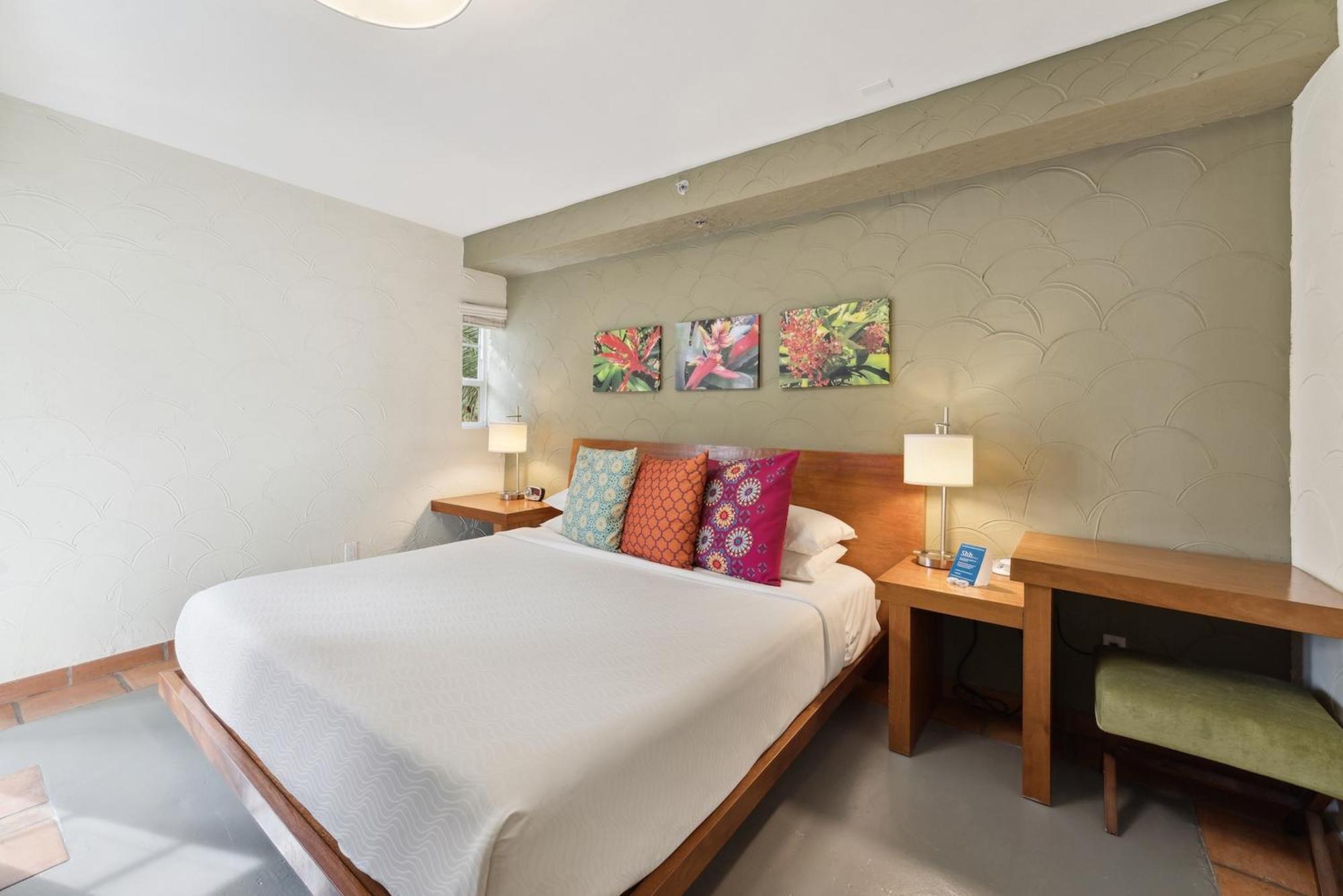 เอล ปาเซโอ โฮเต็ล Hotel ไมอามีบีช ห้อง รูปภาพ
