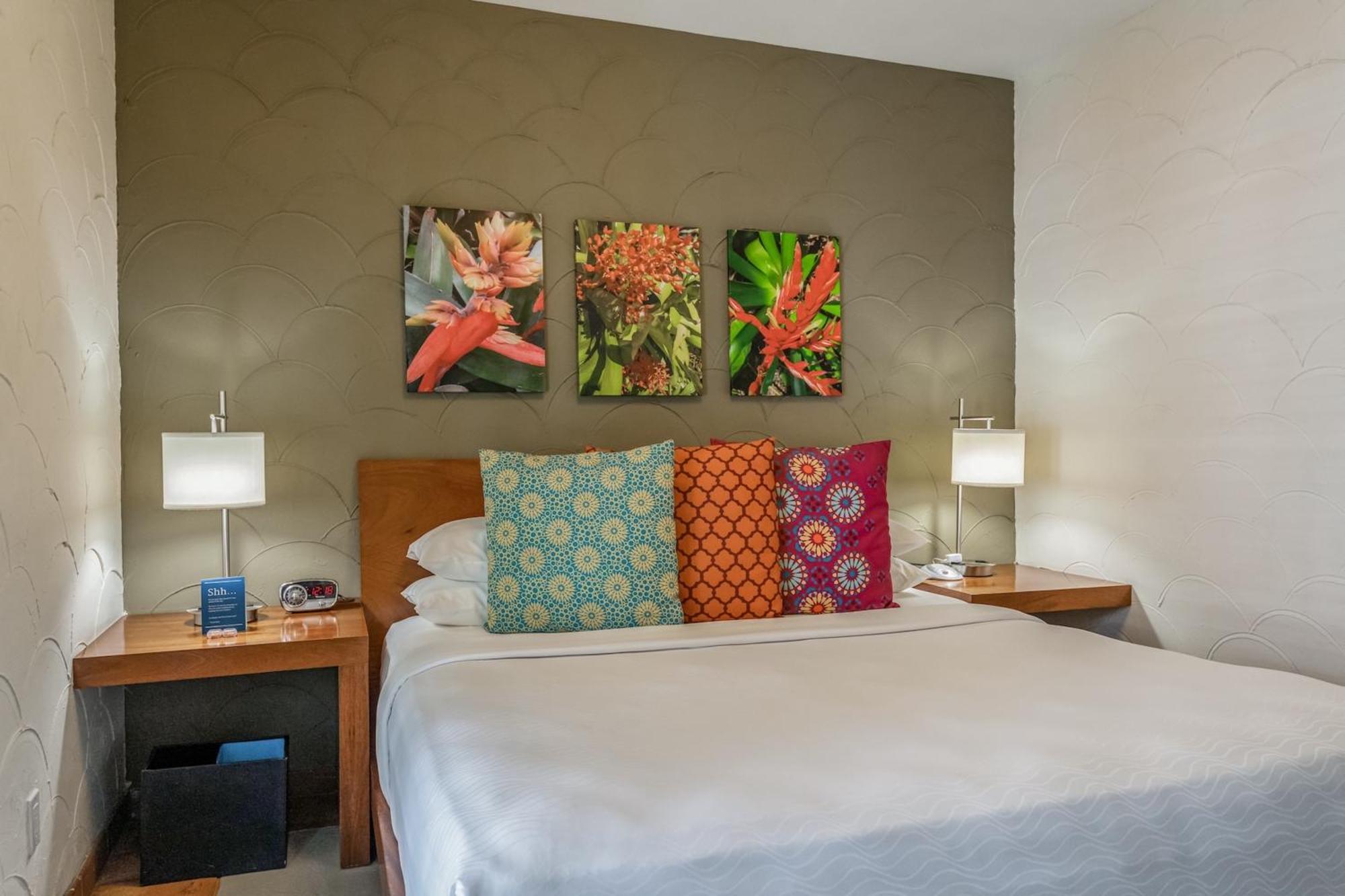 เอล ปาเซโอ โฮเต็ล Hotel ไมอามีบีช ห้อง รูปภาพ